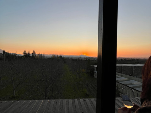 Alyan Family Wines-Pirque必去景点