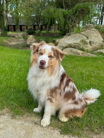 拉雷波塞酒店餐厅水疗中心-浴室