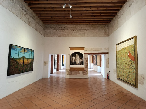 Museo de Arte Contemporaneo de Oaxaca (MACO)-瓦哈卡必去景点