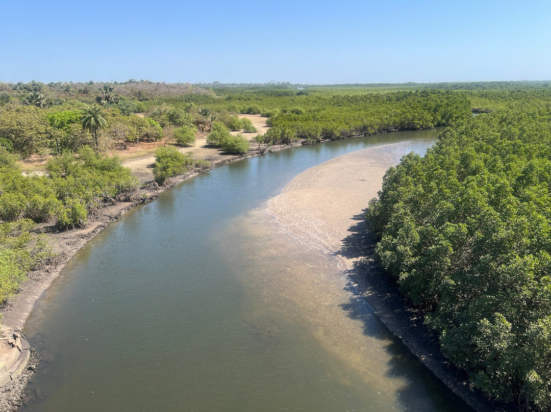 Makasutu Culture Forest-塞瑞库达必去景点
