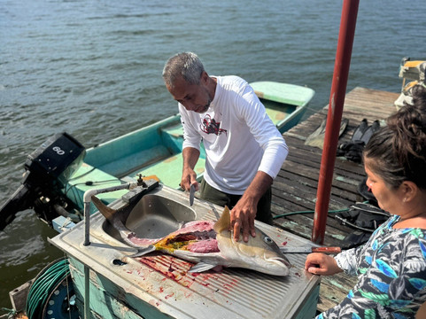 Sierpe River Camp主图