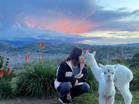 Mirador Del Titikaka主图