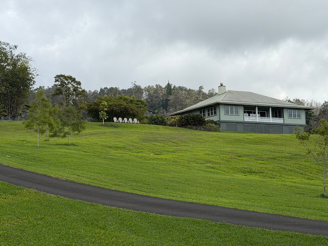 Parrots in Paradise Sanctuary-基亚拉凯库亚必去景点