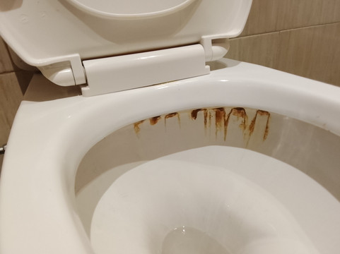 无尽夏日度假村主图