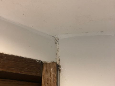 卡宴诺富特酒店主图