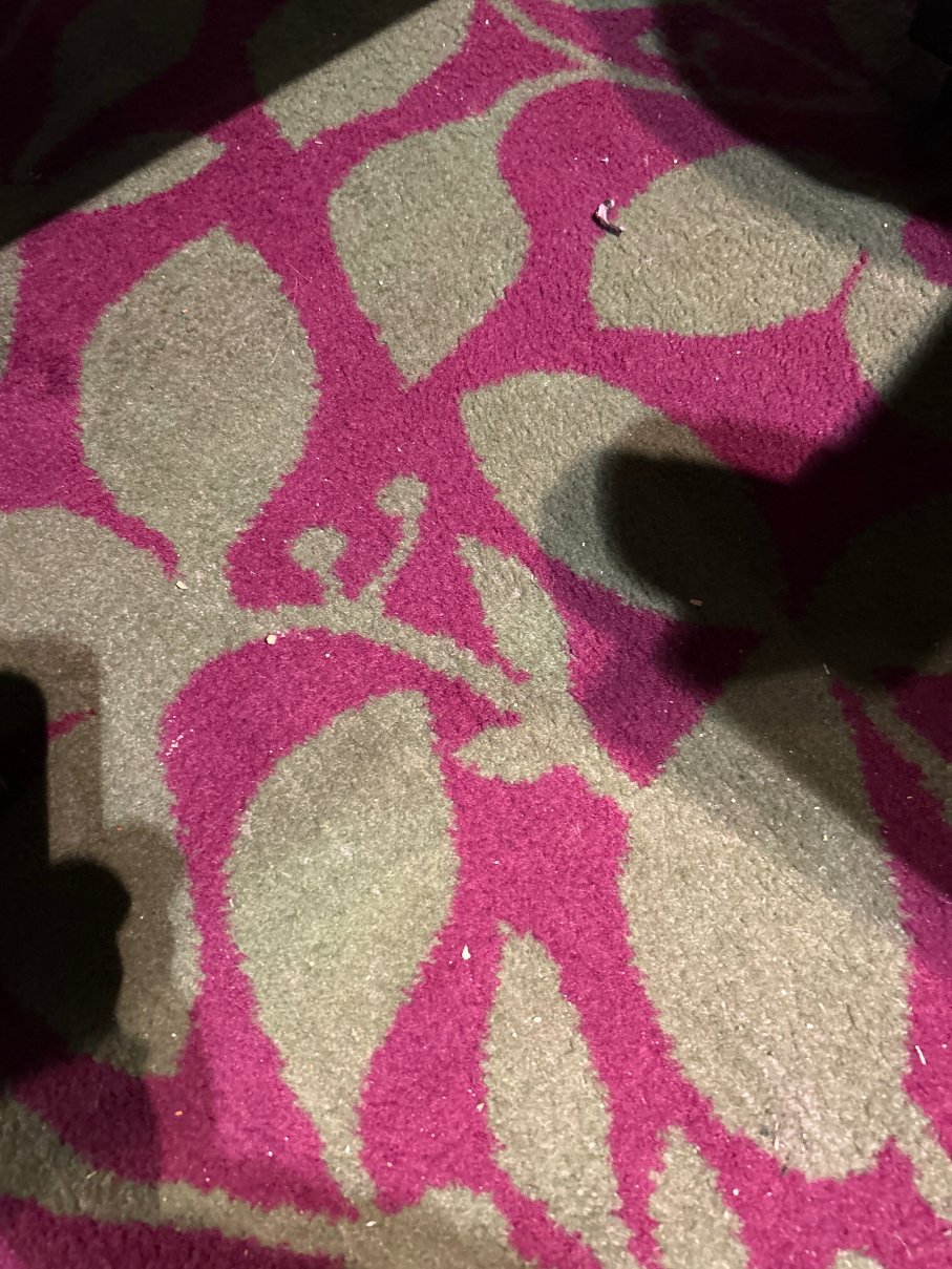 麦克唐纳波特利公园水疗酒店-官方