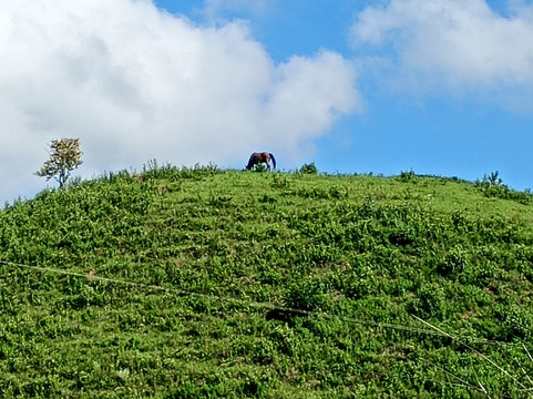 Cachoeira Do Pocao-Miguel Pereira必去景点