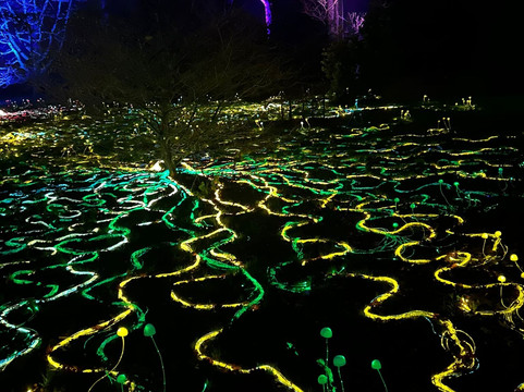 Westonbirt Arboretum-泰特伯里必去景点