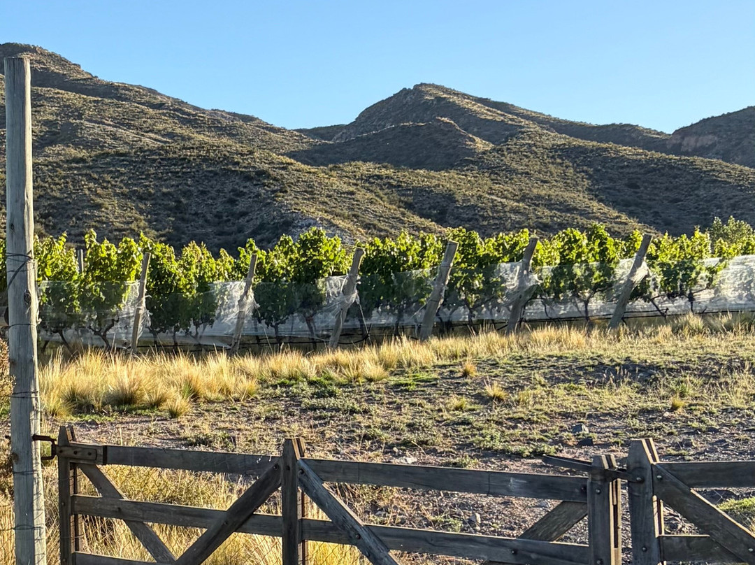 San Ignacio Estancia Andina主图
