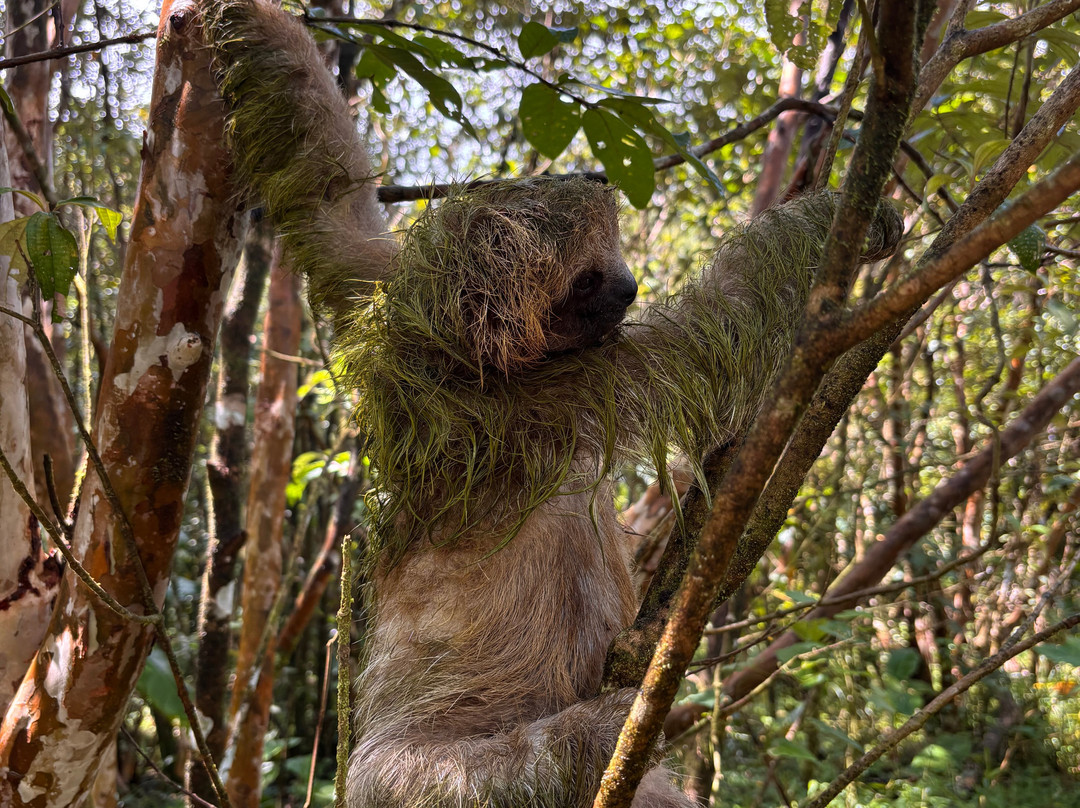 Allan Adventures-La Cruz必去景点