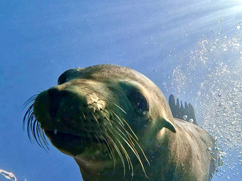 The Cortez Club-拉巴斯必去景点