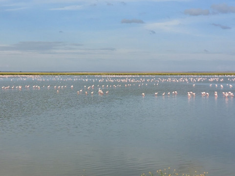 Amboseli National Park-Amboseli Eco-system必去景点