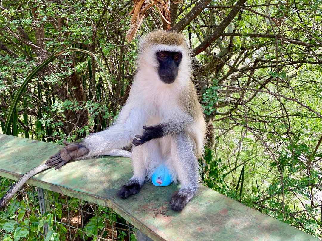 Latitude Explorers-Fontenay-les-Briis必去景点