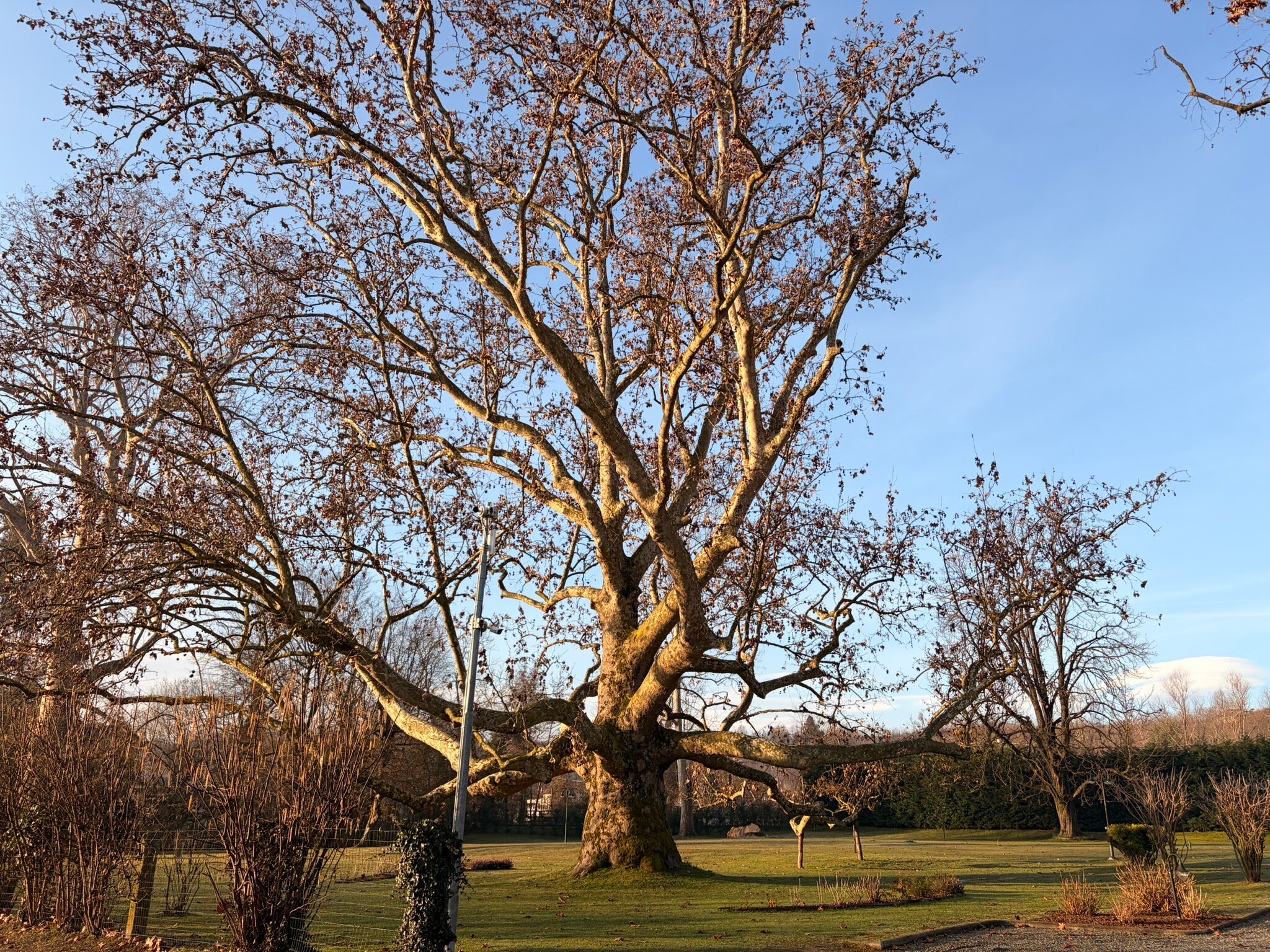 索雷尔别墅酒店-官方