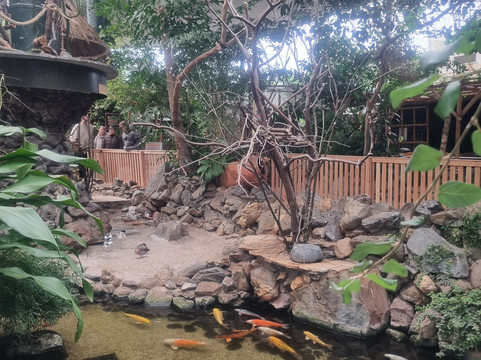 Center Parcs Het Meerdal America主图