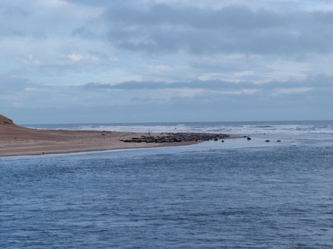 Newburgh Seals Beach-Newburgh必去景点