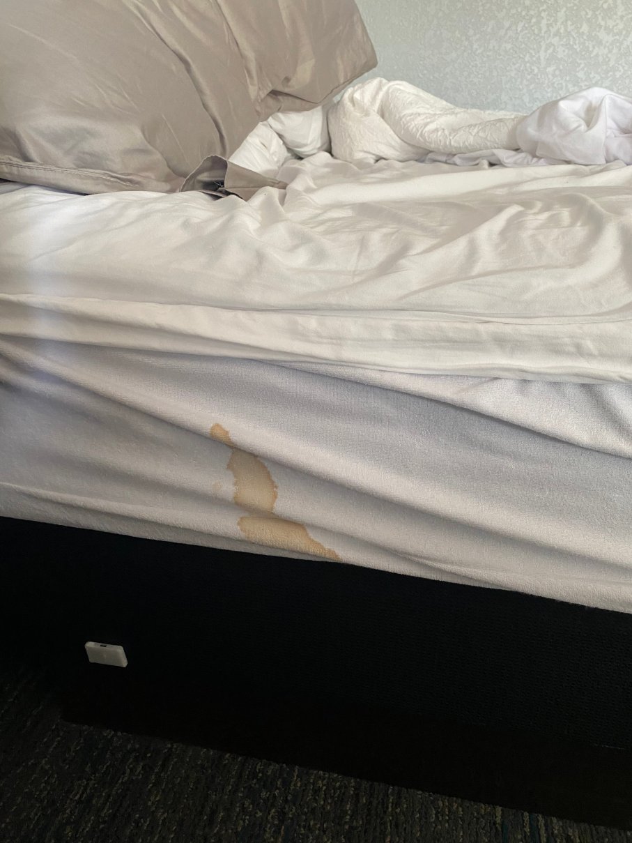 巴斯托欢朋套房酒店-客卧