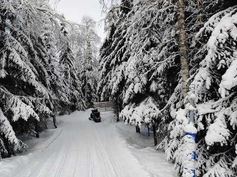 Aavasaksa Adventures-Ylitornio必去景点