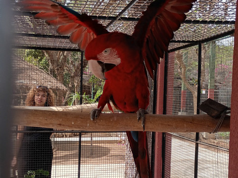Parc Exotique Du Sénégal-恩加帕鲁必去景点