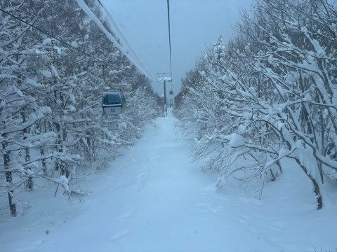 青森岩木山温泉度假酒店-官方