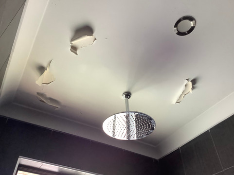 联邦汽车旅馆主图