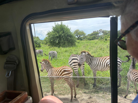 FB Tanzania Expeditions-阿鲁沙必去景点
