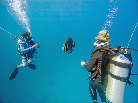 Hanimaadhoo Dive and Watersports-哈霓玛阿都必去景点