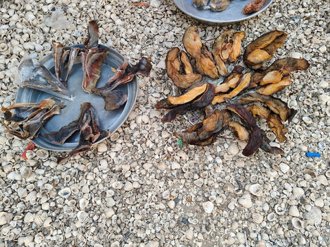 Nouvelles Frontieres-达喀尔必去景点