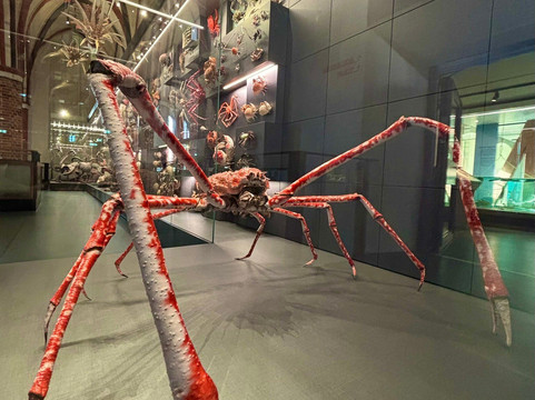 Meeresmuseum-施特拉尔松德必去景点