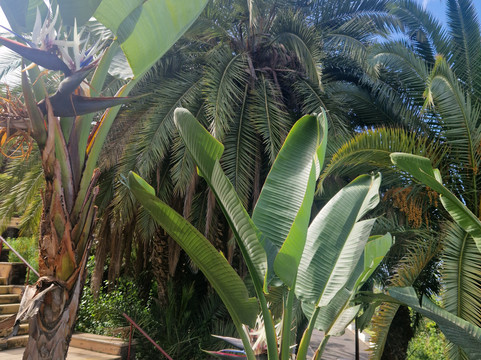 Parque Taoro-德拉克鲁兹索尔港必去景点