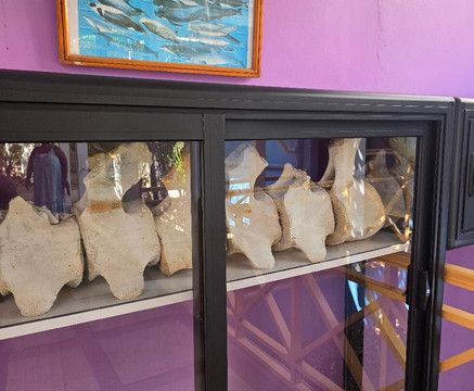 Francois Leguat Reserve-罗德里格斯岛必去景点