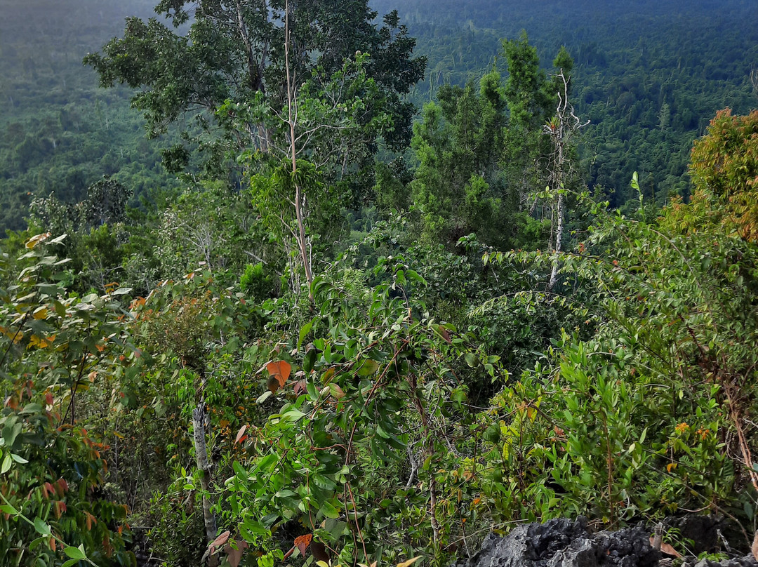 Wolter Gaman-Waisai必去景点