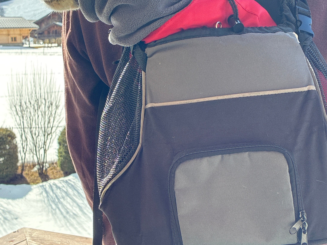 Espace Diamant-Praz Sur Arly必去景点