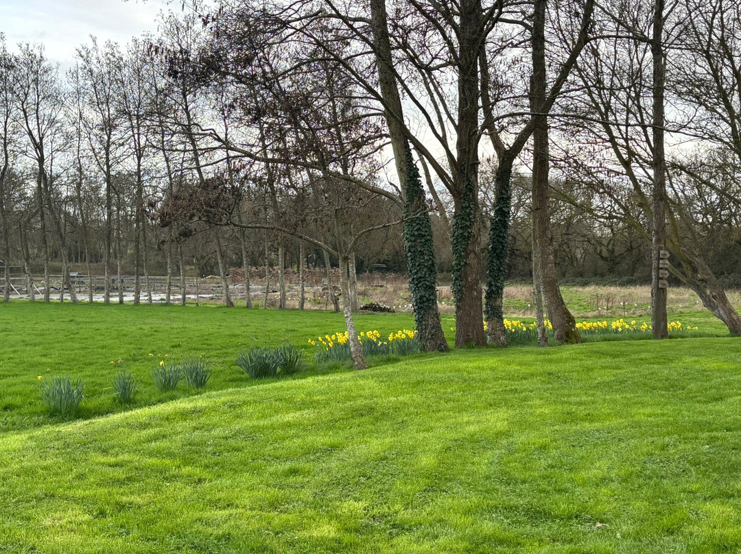 克劳彻斯酒店主图