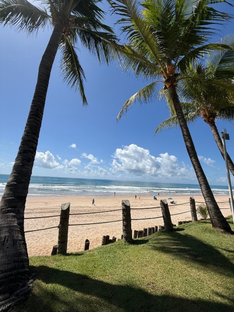 索拉加林纳斯港酒店-官方