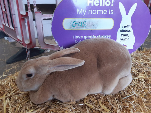 Rare Breeds Centre-Woodchurch必去景点