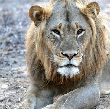 African Journey Safaris-霍德斯普鲁特必去景点