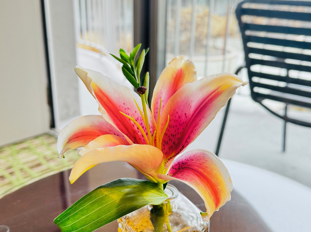 芝加哥奥黑尔万豪酒店主图