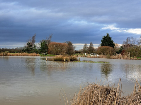 新农场民宿主图
