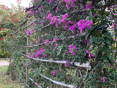 圣赫瓦西奥遗迹-考祖梅必去景点