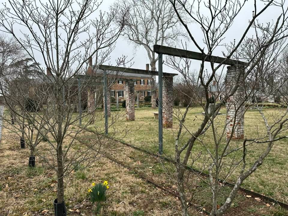 Chatham Manor-弗雷德里克斯堡必去景点