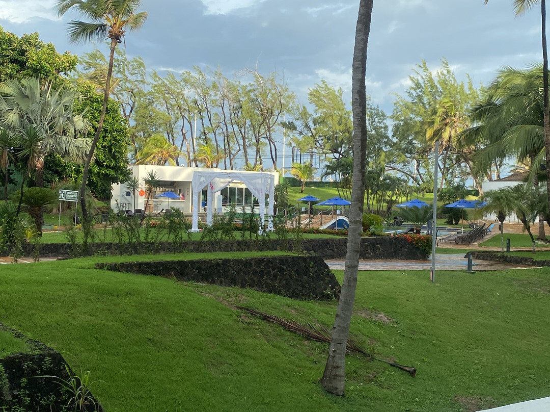 圣路易斯高级蓝树主图