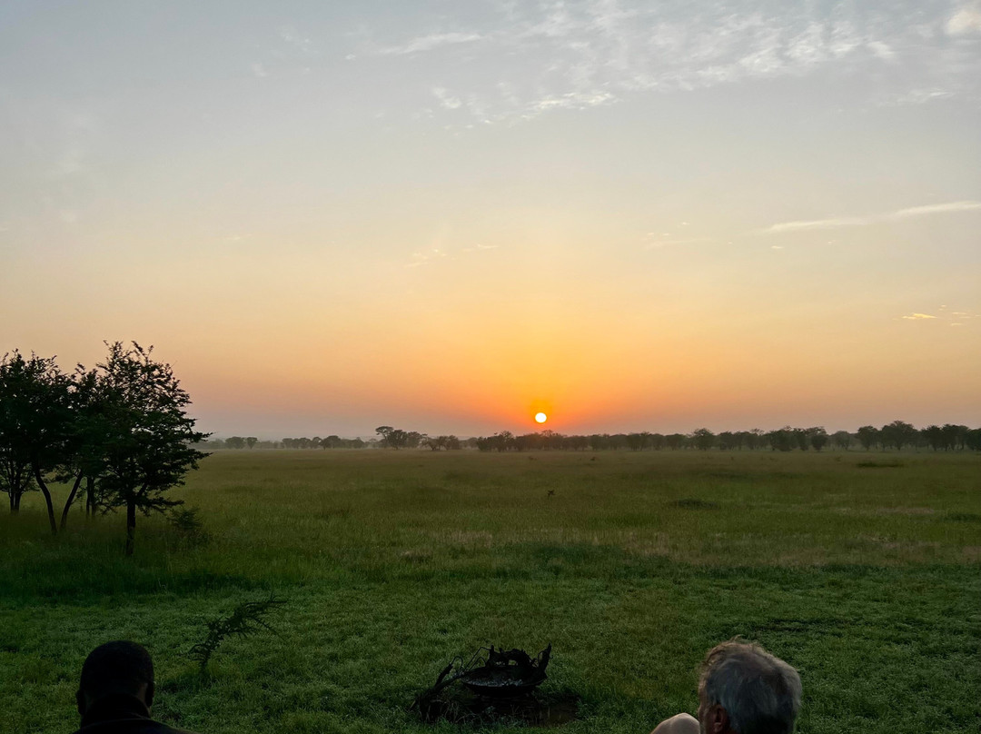 Serengeti Queens Camp-Seronera必去景点