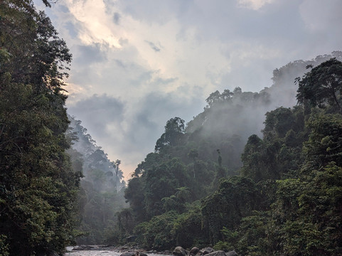 Sumatra Orangutan Explore-武吉拉旺必去景点