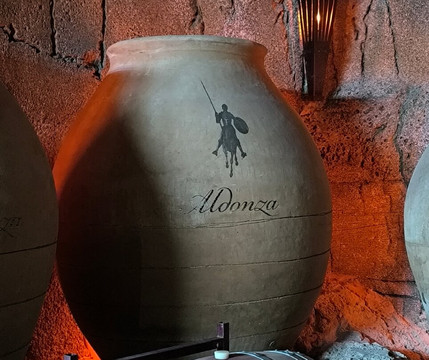 Bodegas Aldonza-Munera必去景点