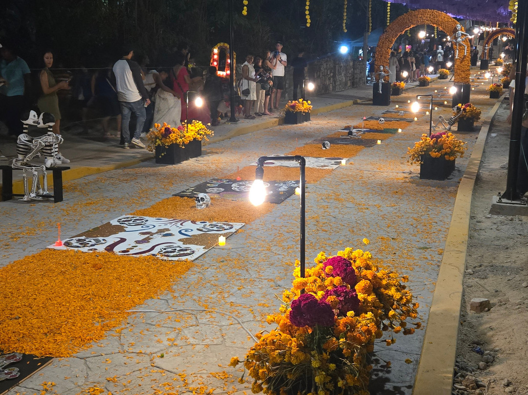 Mani Gonzalez Adventures-Crucecita必去景点