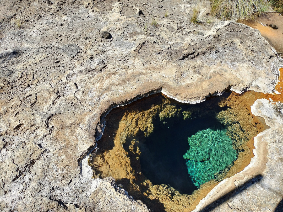 Talaroo Hot Springs-Mount Surprise必去景点