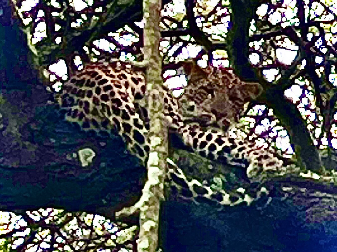 Savannah Explorers Limited-阿鲁沙必去景点