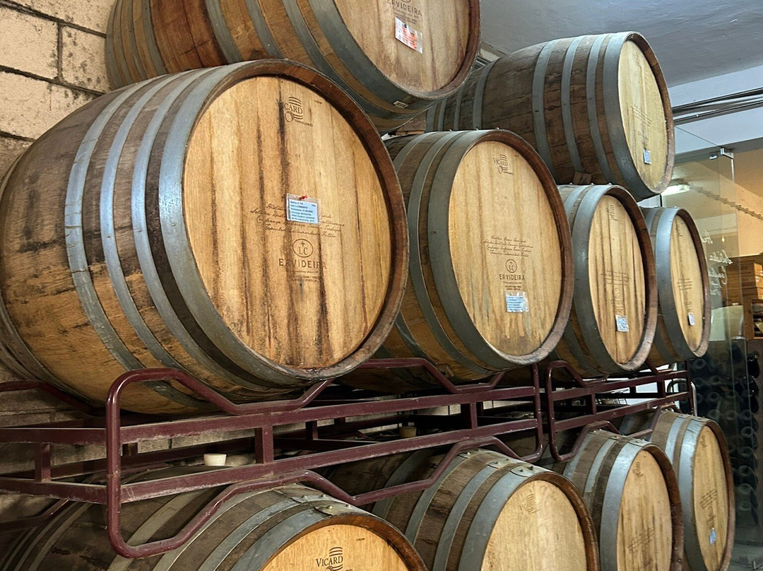 Ervideira-Reguengos de Monsaraz必去景点