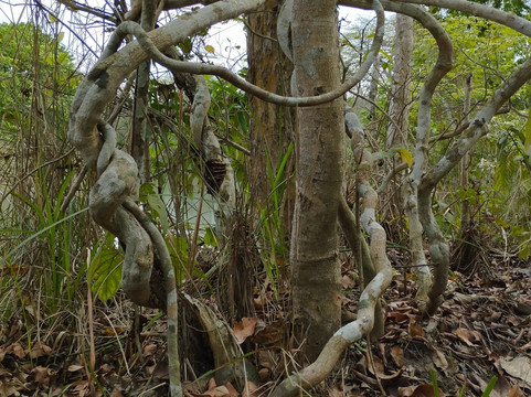 Wild Trails Nepal-Thakurdwara必去景点